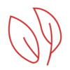 Icône rouge représentant deux feuilles stylisées, symbole d’engagement environnemental et d’alternative écologique menstruelle.